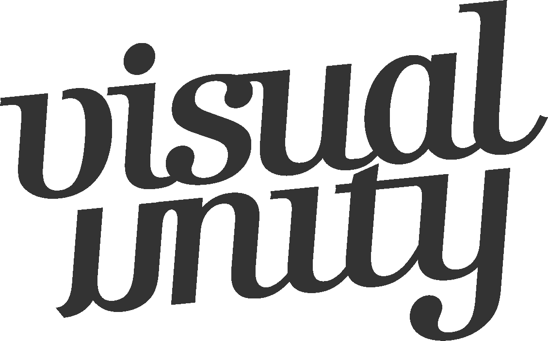Visual Unity company logo
